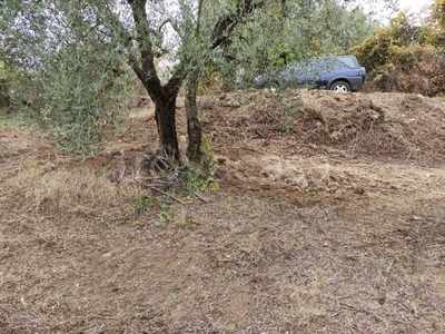 Terreno Agricolo in vendita a Mentana via valle degli ulivi