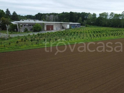 Terreno Agricolo in vendita a Misinto via Sant'Andrea, 1