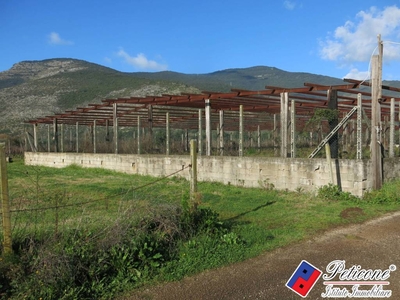 Terreno Agricolo in vendita a Monte San Biagio via Orione