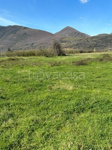 Terreno Agricolo in vendita a Montoro via Contraone