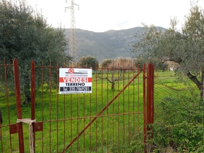 Terreno Agricolo in vendita a Terracina via Scifelle