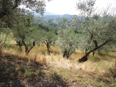 Terreno Agricolo in vendita a Veroli contrada I Rotondi, 139