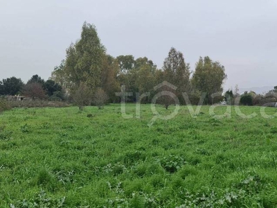 Terreno Agricolo in vendita ad Aprilia via Pontina, 276