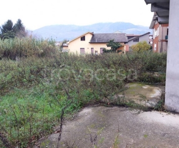 Terreno Agricolo in vendita ad Arpino contrada Coste Calde