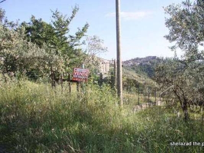 Terreno Agricolo in vendita ad Arpino via Giorgio Amendola
