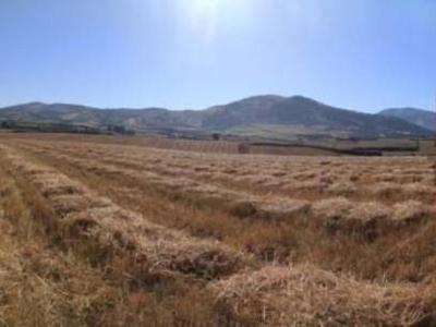 Terreno Agricolo in vendita ad Artena