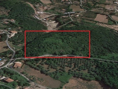 Terreno Agricolo in vendita ad Artena via Pomario, 37