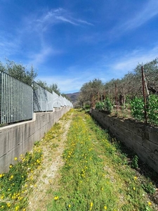 Terreno Agricolo in vendita ad Avella via Tora
