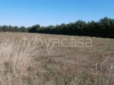 Terreno Residenziale in vendita a Ciampino via Antonio Segni, 11