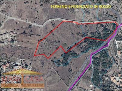 Vendita Terreno Agricolo Camporotondo Etneo