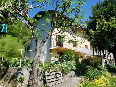 Casa indipendente con ampio giardino Castelnovo del Friuli