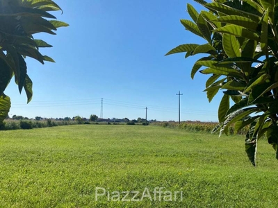 Casa indipendente in Vendita a Piove di Sacco