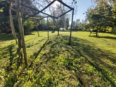 Casa indipendente in vendita a Pisa