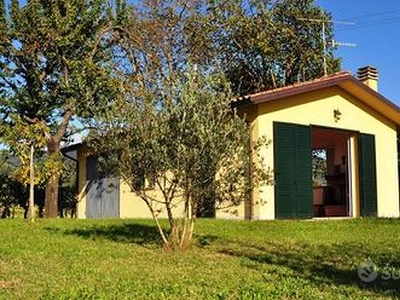 Piccola azienda agricola / Small farm in Tuscany