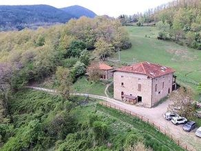 Podere in posizione panoramica con attività agr...