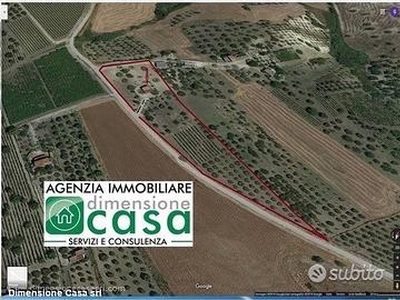 Rif.TA22|Terreno agricolo San Cataldo