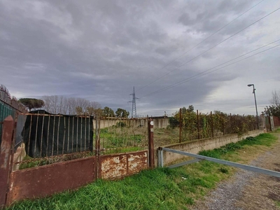 Terreno agricolo in affitto a Acerra