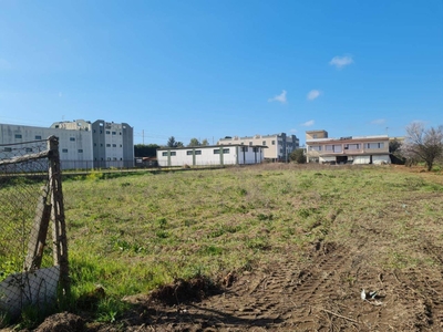 Terreno agricolo in affitto a Quarto