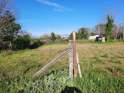 Terreno agricolo in vendita a Acerra