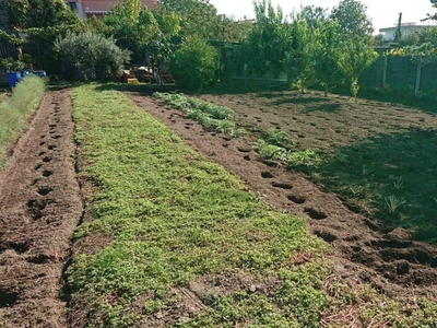 Terreno agricolo in vendita a Acerra