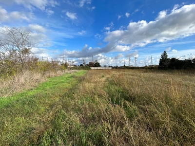 Terreno agricolo in vendita a Carinola