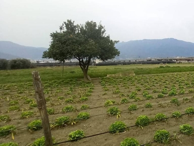 Terreno agricolo in vendita a Castellammare Di Stabia