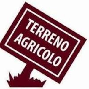 Terreno agricolo in Vendita a Correzzola Correzzola