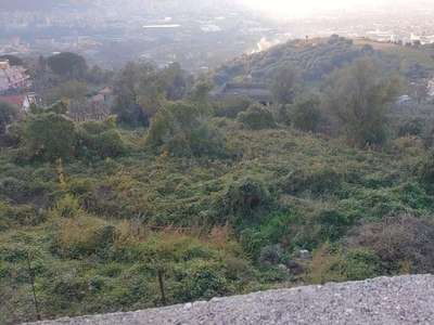 Terreno agricolo in vendita a Lettere