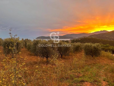 Terreno agricolo in vendita a Porto Azzurro - Isola d'Elba