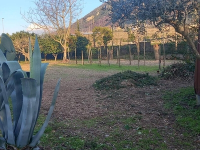 Terreno agricolo in vendita a Sant'Antonio Abate