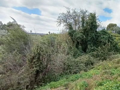 Terreno edificabile in vendita a Acireale