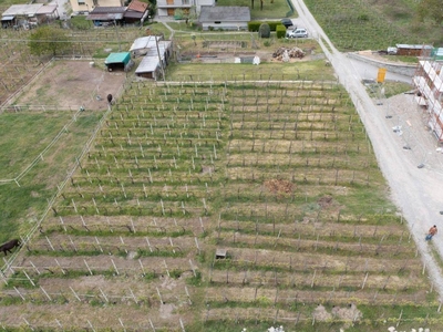 Terreno edificabile in vendita a Albosaggia