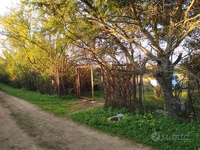 Terreno zona G ( Servizi ) ottimo come agricolo