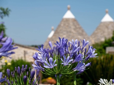 Trulli Oasi Fiorita - Exclusive Apulian Holidays