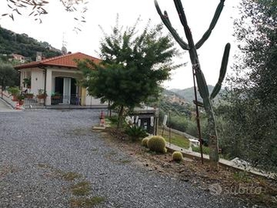 Villa con panorama su ampio uliveto di proprietà