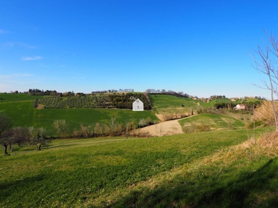 terreno agricolo in vendita a Mogliano