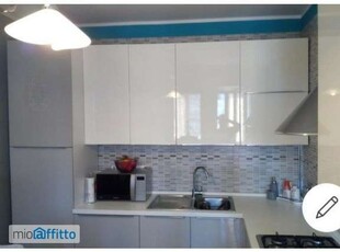 Appartamento arredato con terrazzo Collegno