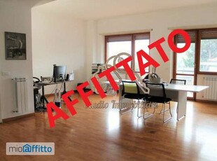 Appartamento arredato con terrazzo Giustiniana, olgiata, cesano