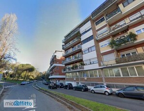 Appartamento arredato con terrazzo Trieste , salario