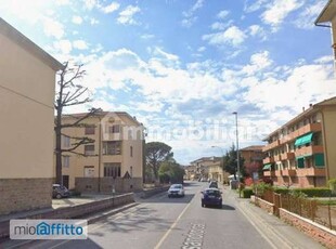 Bilocale arredato con terrazzo Arezzo