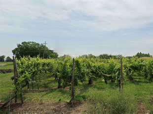 Vendita Terreno Agricolo Oderzo