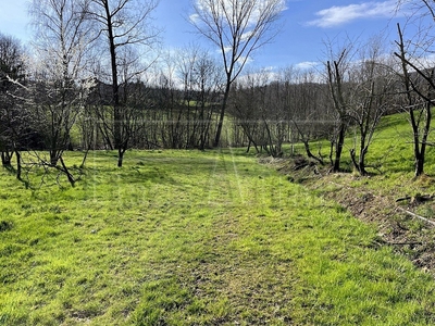 Vendita Terreno agricolo Bibiana