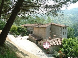 Borgo Toscano come attività di B&B - Lucca Colline -