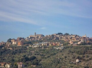 Negozio in affitto a Ferentino