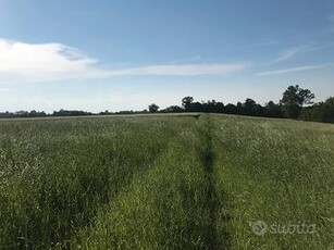 Terreno agricolo a Cherasco