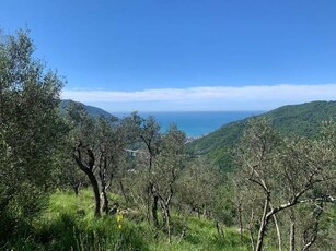 Terreno agricolo in vendita a Avegno