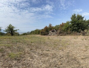 Terreno agricolo in vendita a Capaccio