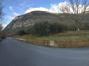 Terreno agricolo in vendita a Capaccio