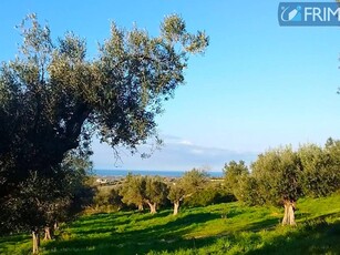 Terreno agricolo in vendita a Cerveteri