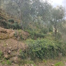 Terreno agricolo in vendita a Dolceacqua